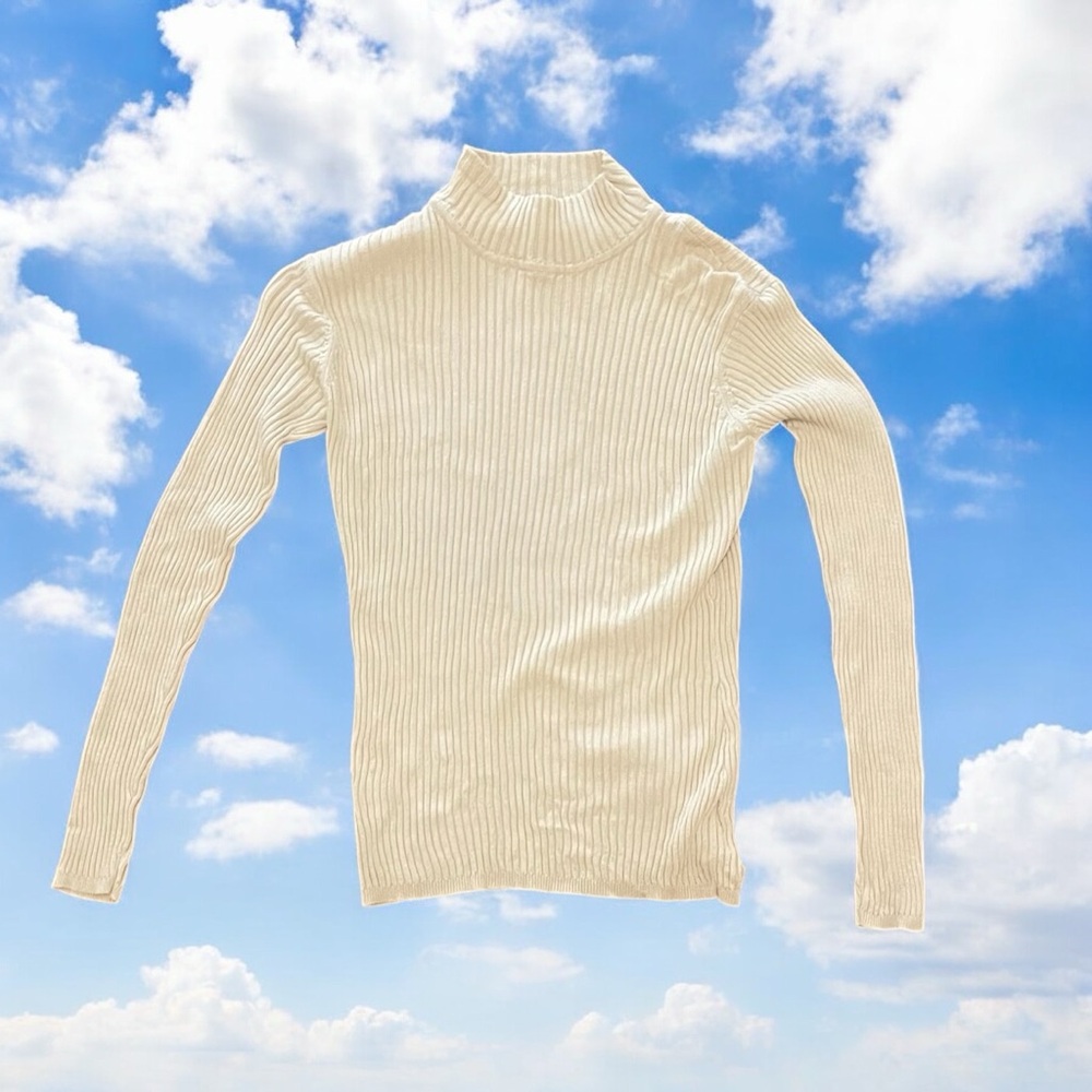 ZZ Silk Ribbed Turtleneck in Cream